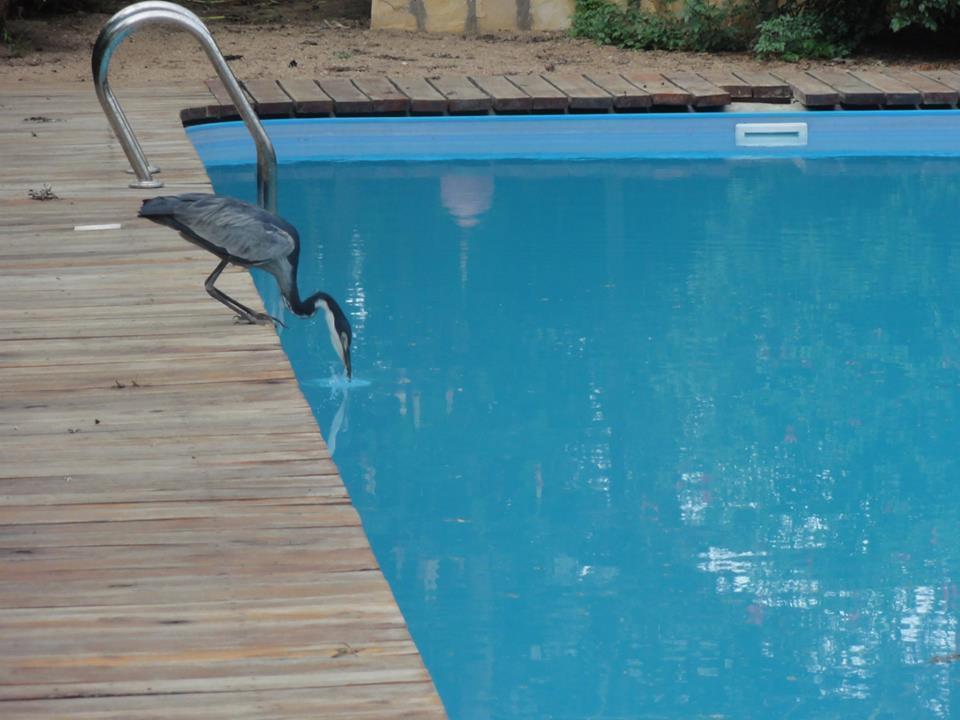 Meru House Lekisilai Arusha Exterior photo